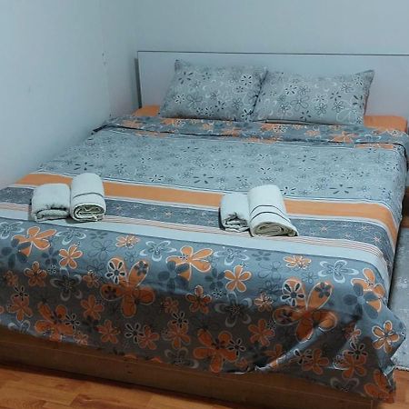 Apartman Aleksic ヤゴディナ エクステリア 写真