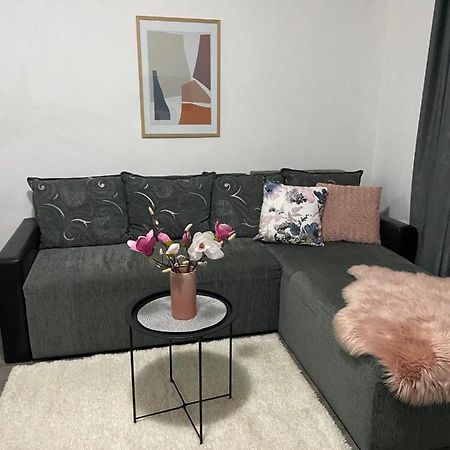 Apartman Aleksic ヤゴディナ エクステリア 写真