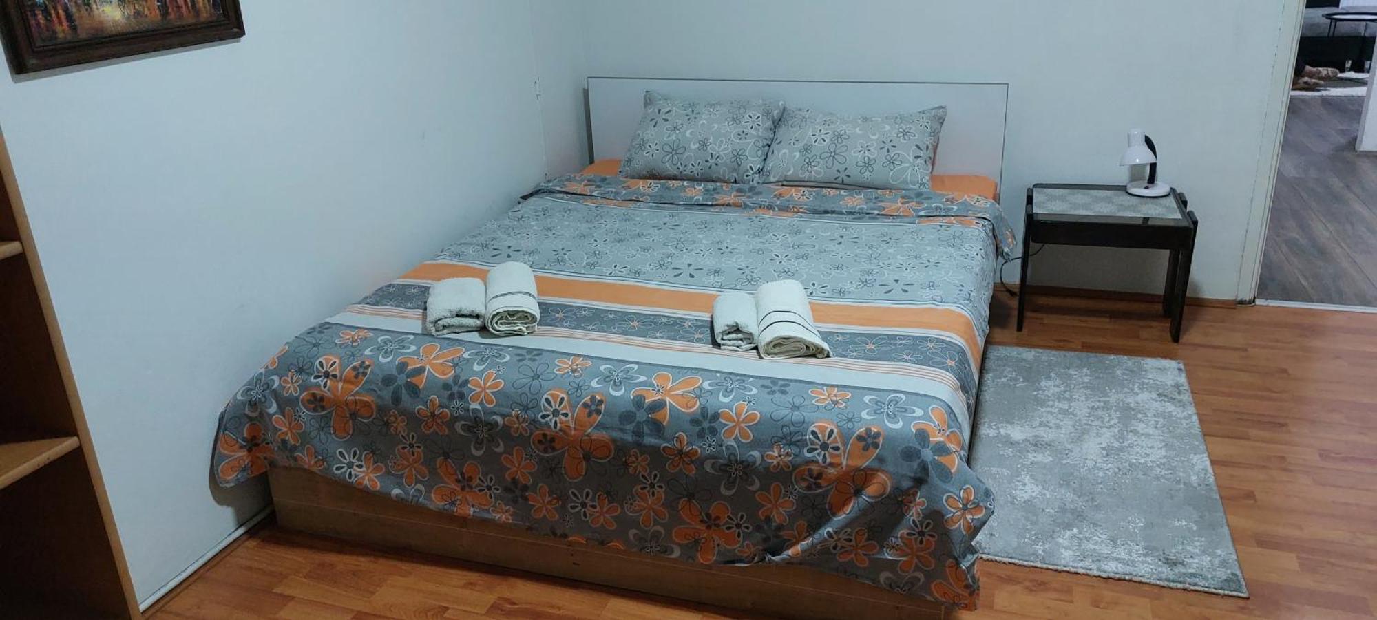 Apartman Aleksic ヤゴディナ エクステリア 写真