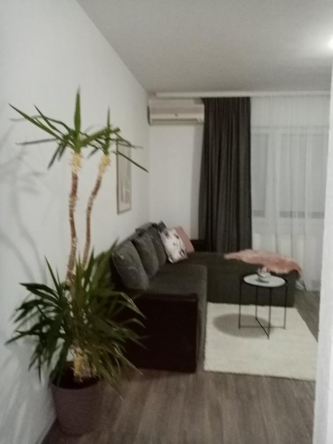 Apartman Aleksic ヤゴディナ エクステリア 写真