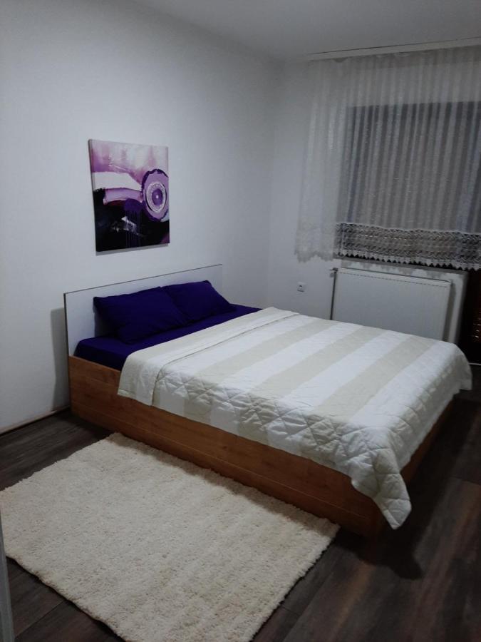 Apartman Aleksic ヤゴディナ エクステリア 写真