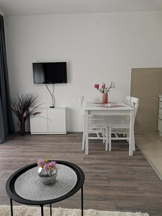 Apartman Aleksic ヤゴディナ エクステリア 写真