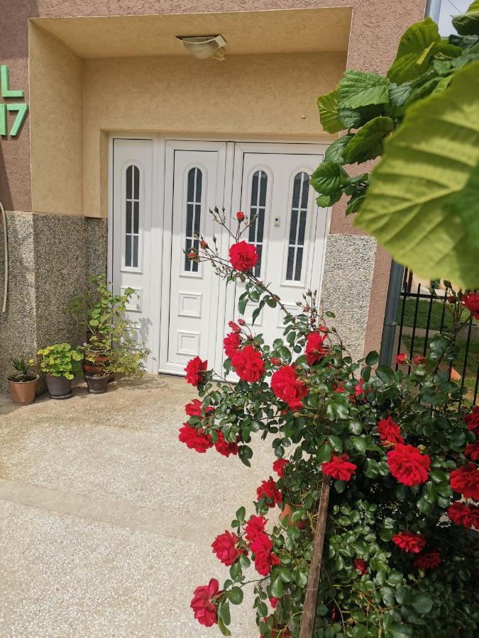 Apartman Aleksic ヤゴディナ エクステリア 写真