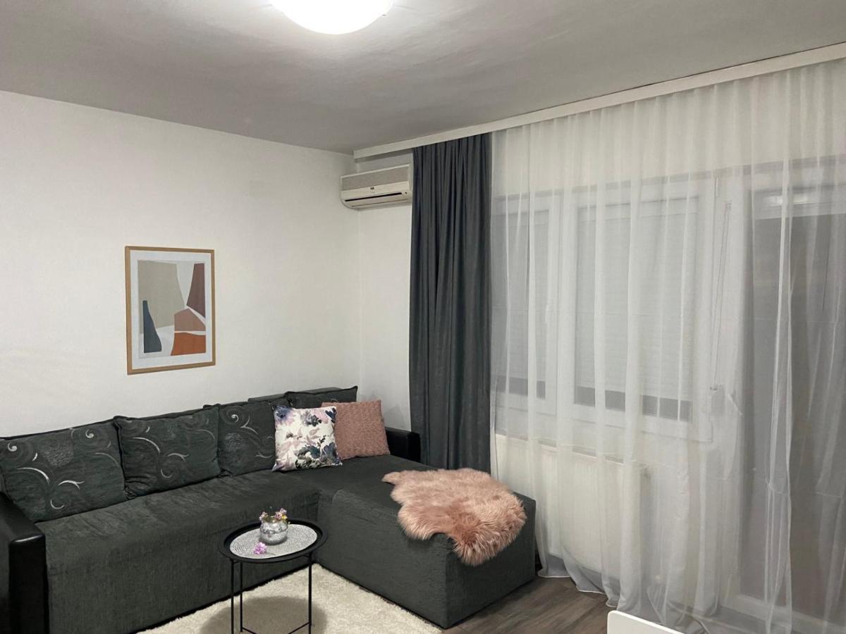 Apartman Aleksic ヤゴディナ エクステリア 写真