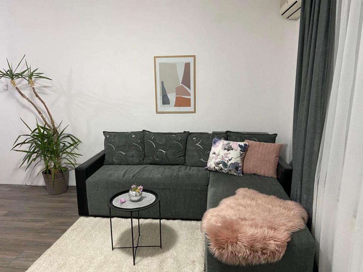 Apartman Aleksic ヤゴディナ エクステリア 写真
